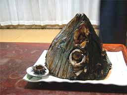 �}�O����