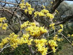 �T���V����