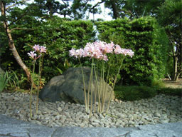 �q�K���o�i