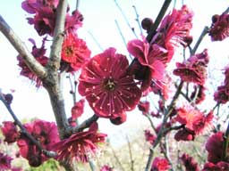 �������g