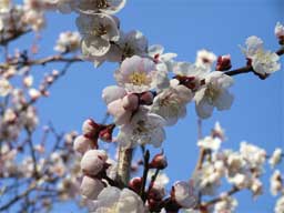 ���F�k��