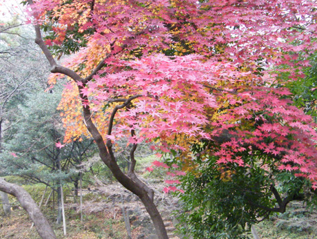 �L����{�L�O����