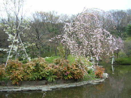 �L����{�L�O����