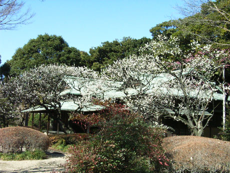 �z�K�̒���