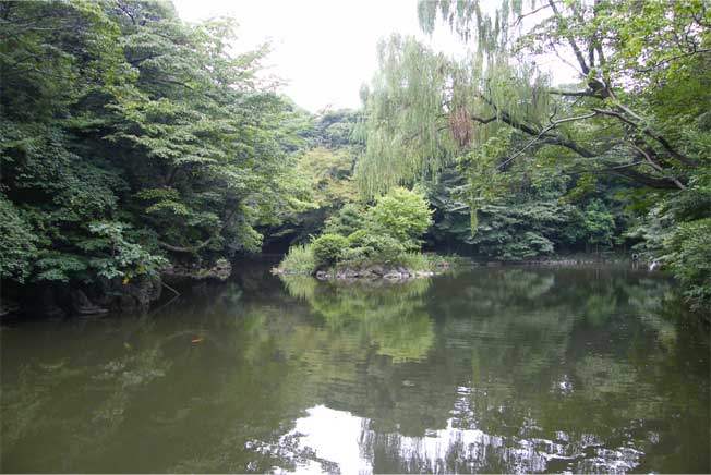 �瓿�~�S���r