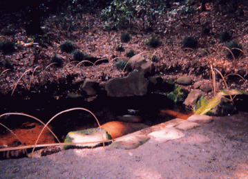 ���������̈��