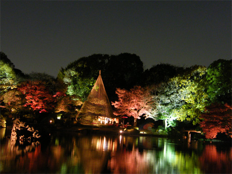 �g�t���C�g�A�b�v