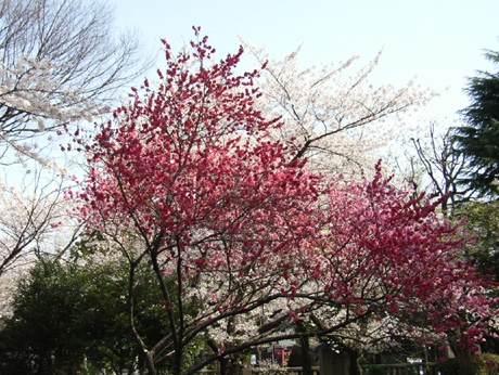 ���c����