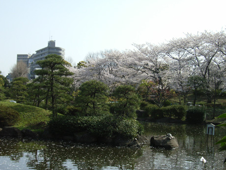 ���c����