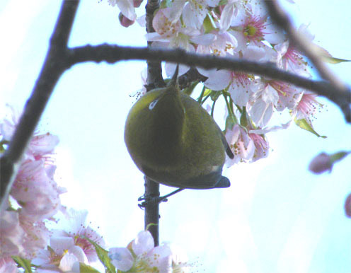 �q�}�����T�N��