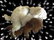 ��납��U�ߗ��Ă�p