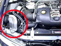 �a�f���K�V�B�����̋z�C�_�N�g