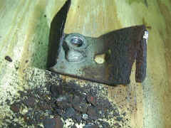 �����ꗎ�����u���P�b�g