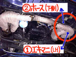 ���W�G�[�^�[�z�[�X�ƃG�L�}�j�̈ʒu�֌W