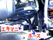 ������̃z�[�X�̗l�q