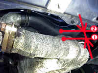 �G�L�}�j�Ƃ̃N���A�����X���g��