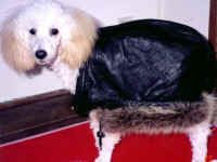 �є�����Ԃ��Ă݂܂���