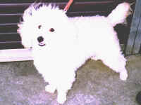 �U�����A����`�D���I