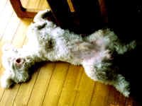 �Q��Ƃ��́A��������Ȋ���