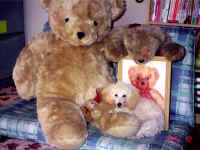 �z�����m�́A�ǂꂾ�`�I�H