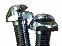 ���ꂪ�m�Y���B�؂ꍞ�݂ɒ��ځB