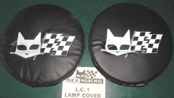 �}�[�V�����⏕���p�����J�o�[