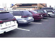 �����낢�����I�t��Q���̊e��