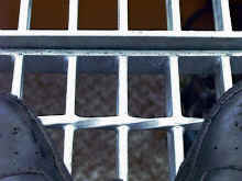 ��P�Q�����������Œ���ł��܂�