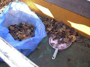 ����I�ɑ|�����邱�Ƃ��s�b�g�̃����e�i���X