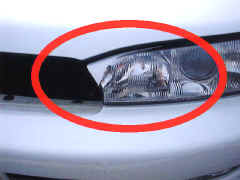 ����K�[�j�b�V���𑕒�