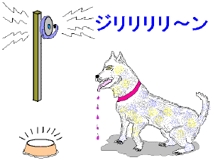 �p�u���t�̌��i�w�K��j