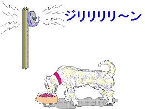 �p�u���t�̌��i�w�K�O�j