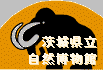 ��錧�����R������