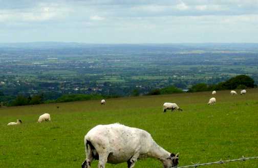 snowshill.jpg (15565)
