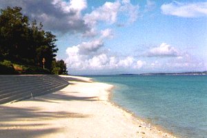 �摜�w�ɍ]�r�[�`(2)�x