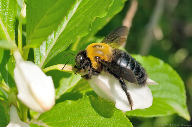 �N���b�N�Ŏ���