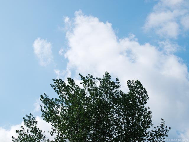 �N���b�N�Ŏ��̃y�[�W��