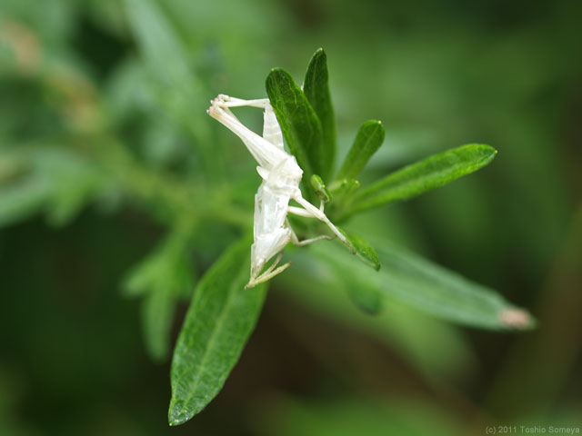 �N���b�N���̃y�[�W��