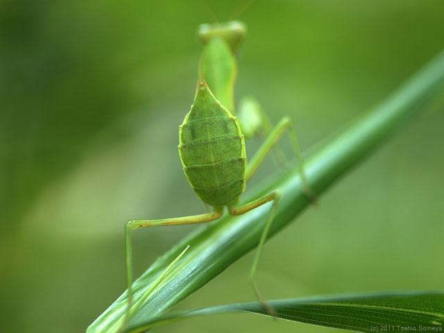 �N���b�N�Ŏ���