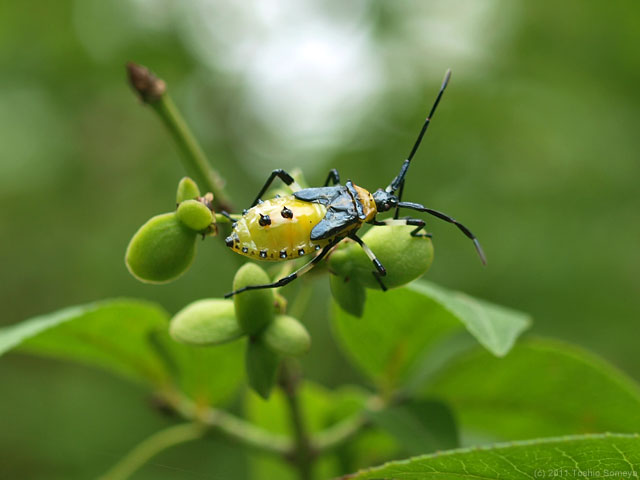 �N���b�N�Ŏ��̃y�[�W��