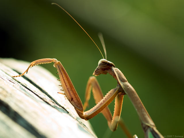�ʐ^