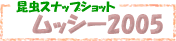 ���b�V�[2005���S