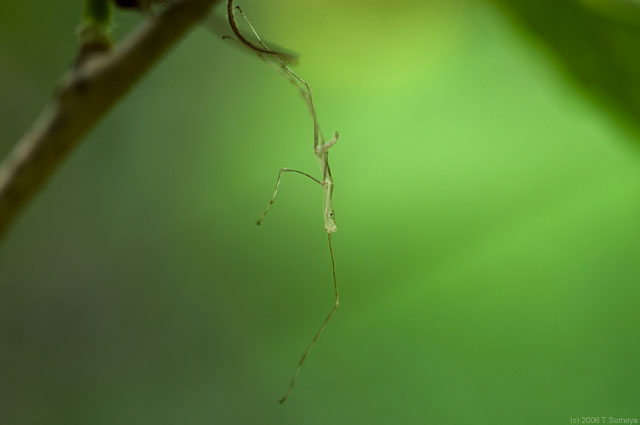 �ʐ^