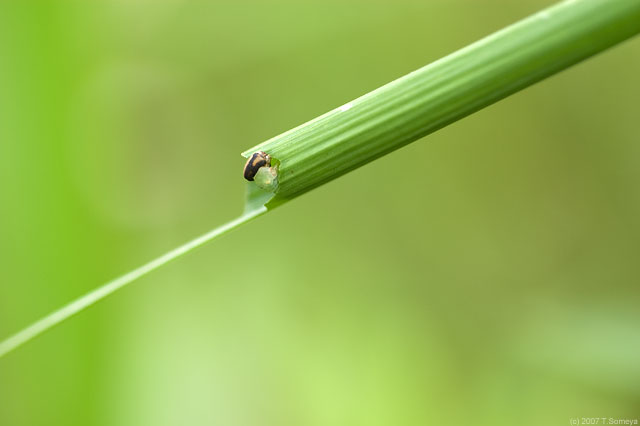 �N���b�N�Ŏ��̃y�[�W��