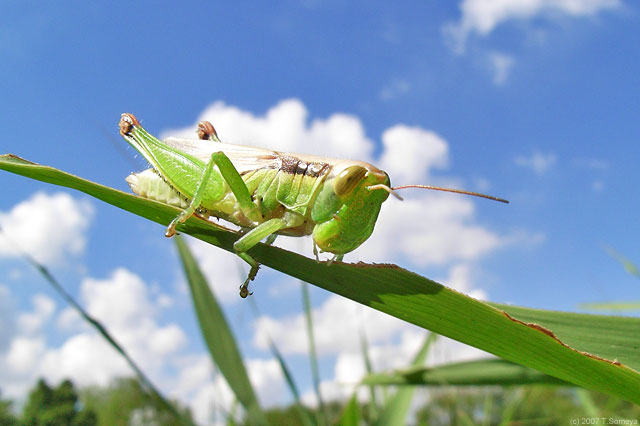 �N���b�N�Ŏ���