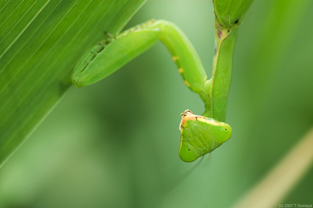 �N���b�N�Ŏ��̃y�[�W��