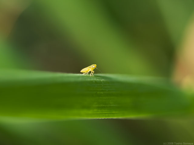 �N���b�N�Ŏ���