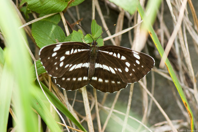 �N���b�N�Ŏ���