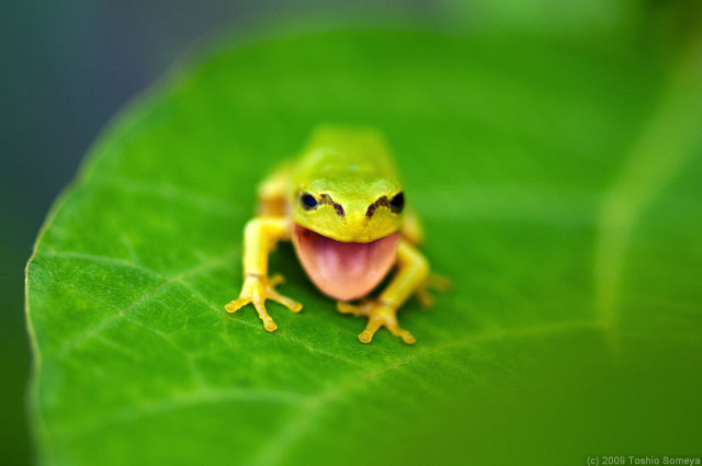 �N���b�N�Ŏ���