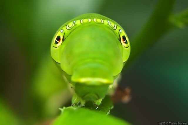 �N���b�N�Ŏ���